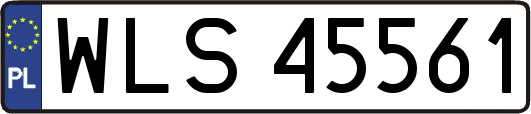 WLS45561