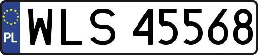 WLS45568