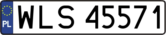 WLS45571