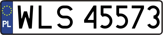 WLS45573