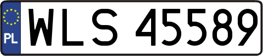 WLS45589