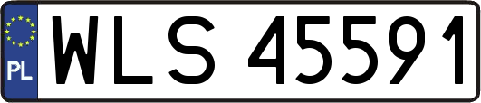 WLS45591