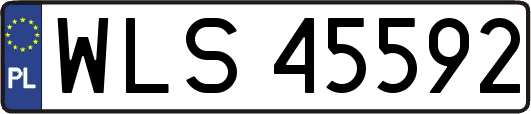 WLS45592