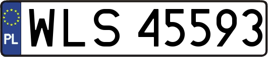WLS45593