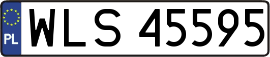 WLS45595