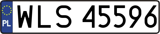 WLS45596