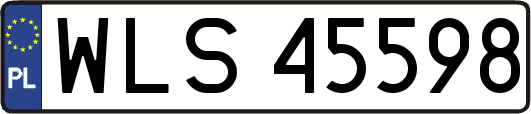 WLS45598