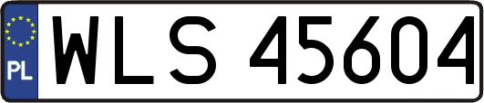 WLS45604