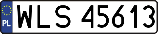 WLS45613