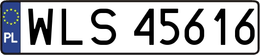WLS45616
