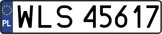 WLS45617