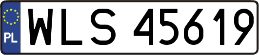 WLS45619