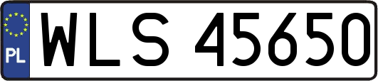 WLS45650