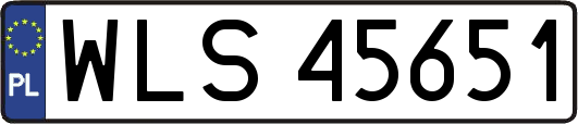 WLS45651