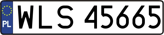 WLS45665