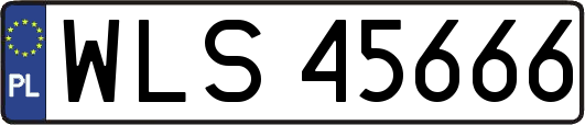 WLS45666