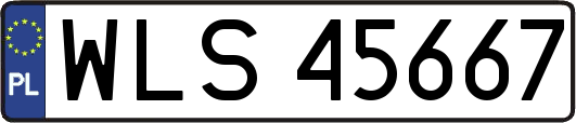 WLS45667