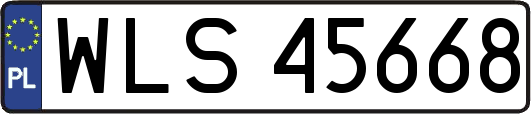 WLS45668