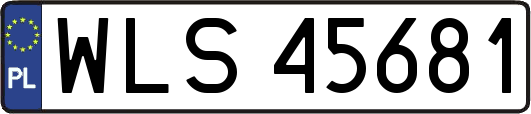 WLS45681