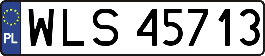 WLS45713