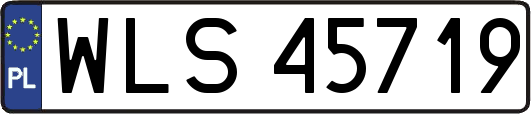 WLS45719