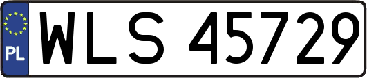 WLS45729