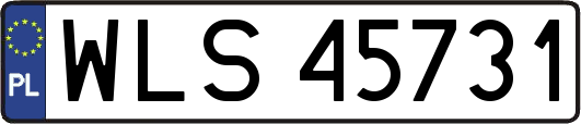 WLS45731