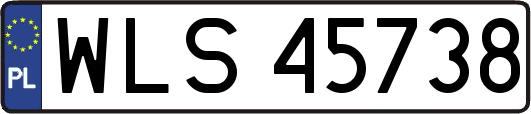 WLS45738