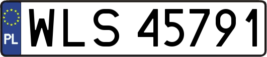 WLS45791