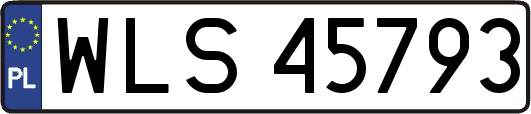 WLS45793