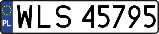 WLS45795