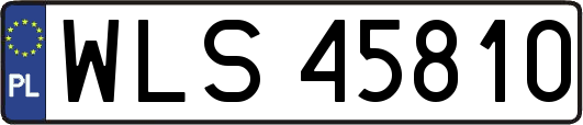 WLS45810