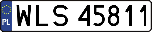 WLS45811