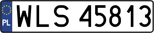 WLS45813