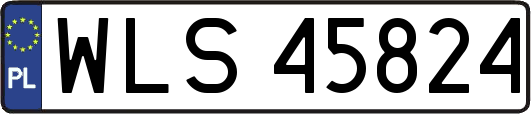 WLS45824