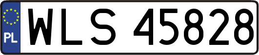 WLS45828