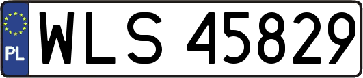 WLS45829