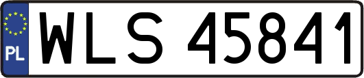 WLS45841