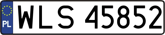 WLS45852