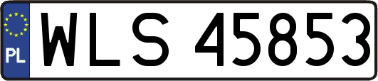 WLS45853