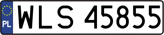 WLS45855