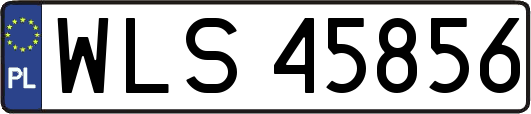 WLS45856
