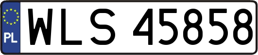 WLS45858