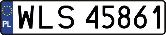 WLS45861