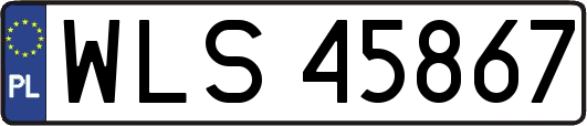 WLS45867