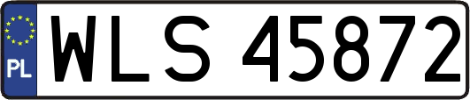WLS45872