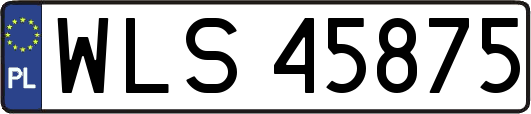 WLS45875