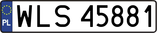 WLS45881
