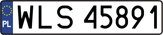 WLS45891