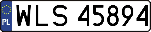 WLS45894